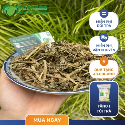 Hình ảnh các hoạt chất hóa học được chiết xuất từ cà gai leo