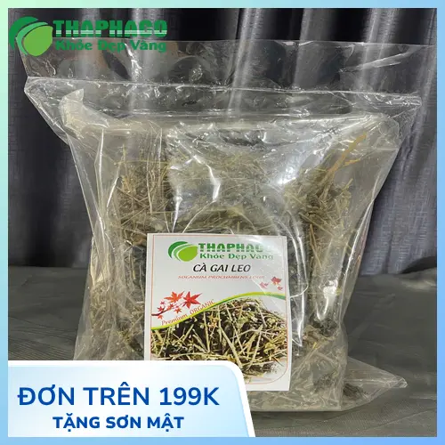 Lá và thân cà gai leo khô được sơ chế