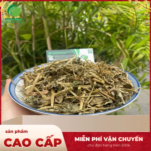 Cà gai leo khô đã được thái lát và phơi/sấy