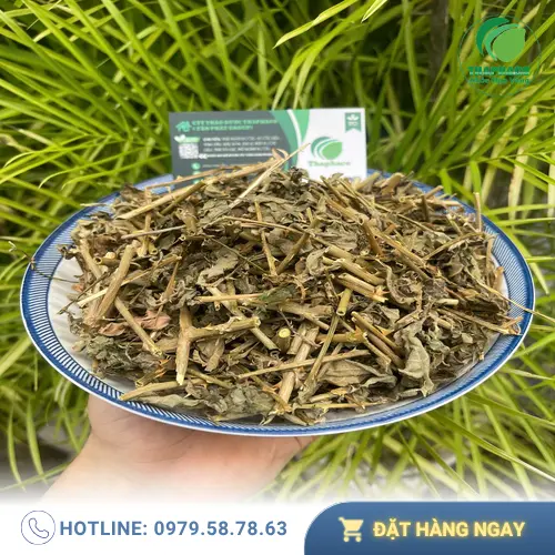 Nước cà gai leo khô đã sắc, có màu nâu vàng
