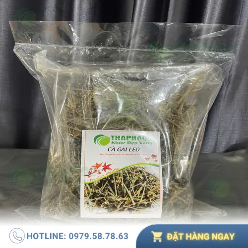 Cà Gai Leo sấy khô chất lượng cao từ THAPHACO