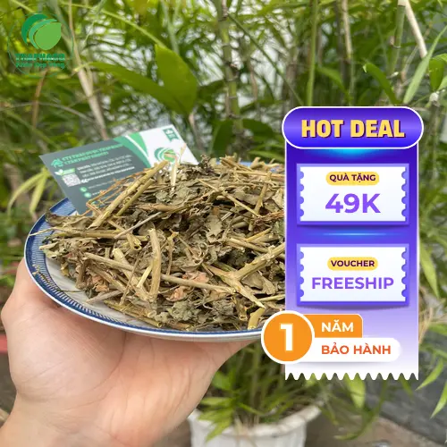 Nước sắc cà gai leo khô đã chuẩn bị