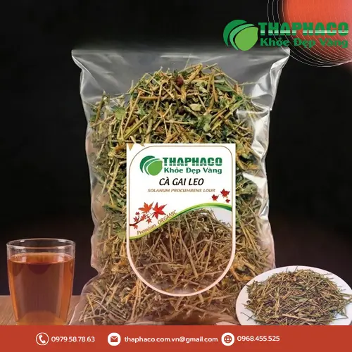 Sản phẩm cà gai leo khô chất lượng tại THAPHACO
