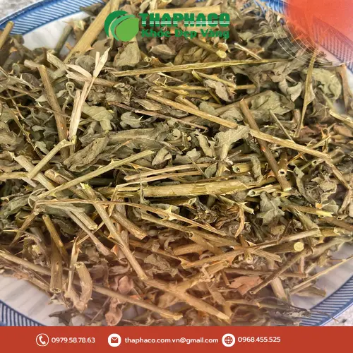Túi cà gai leo khô đã được đóng gói cẩn thận tại THAPHACO