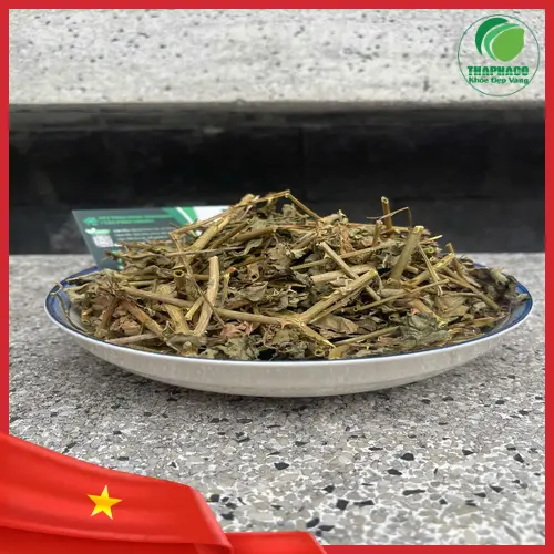 Khách hàng mua Cà Gai Leo sấy khô tại THAPHACO