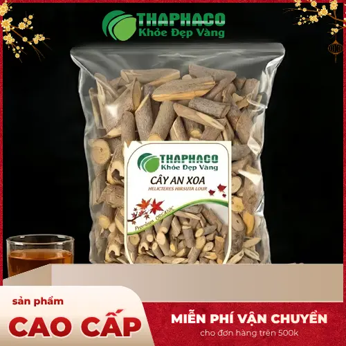 Hình ảnh cây An Xoa tổng thể, cho thấy thân, lá và quả đặc trưng