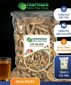 Địa Chỉ Bán Cây An Xoa Sấy Khô Tại TP.HCM - THAPHACO Loại 1