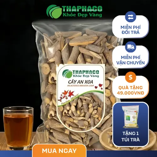 Hình ảnh cây an xoa sấy khô THAPHACO