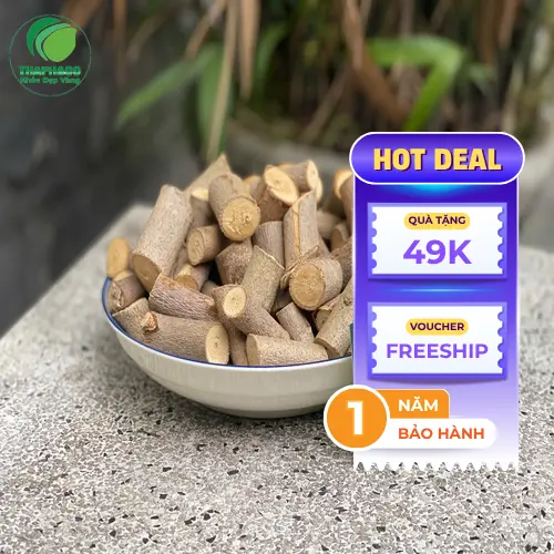 Lá cây An Xoa với lớp lông tơ đặc trưng ở mặt dưới