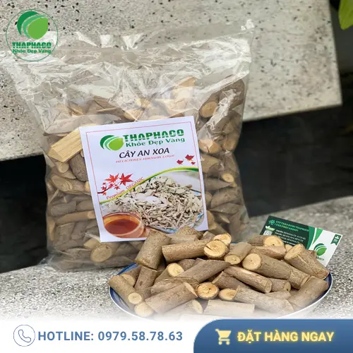 Quy trình chế biến cây an xoa sấy khô tại THAPHACO