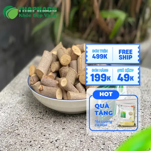 Quá trình thu hái An Xoa tại THAPHACO