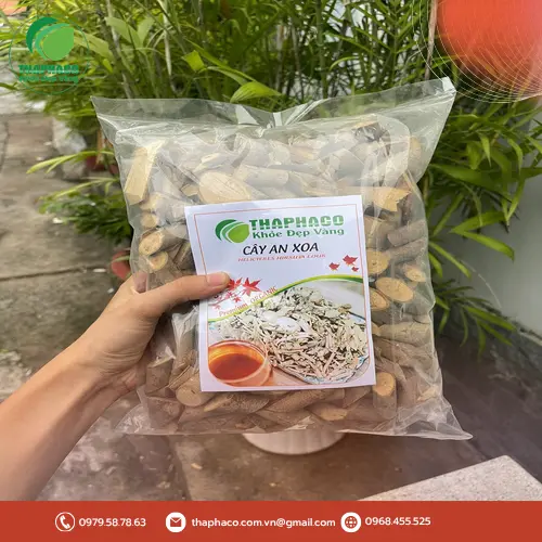 Lá cây An Xoa khô đã sơ chế