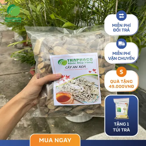 Hình ảnh cây an xoa khô được đóng gói cẩn thận tại THAPHACO