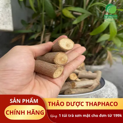 Giao hàng cây an xoa toàn quốc từ THAPHACO