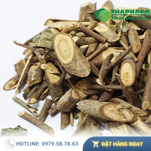 Trà An Xoa từ THAPHACO