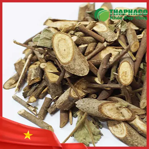 Hình ảnh cây an xoa khô chất lượng tại THAPHACO