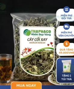Mua Cây Cối Xay Ở Đâu Uy Tín Tại TP.HCM