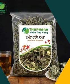 Địa Chỉ Bán Cây Cối Xay Khô Tại TP.HCM Chất Lượng Cao
