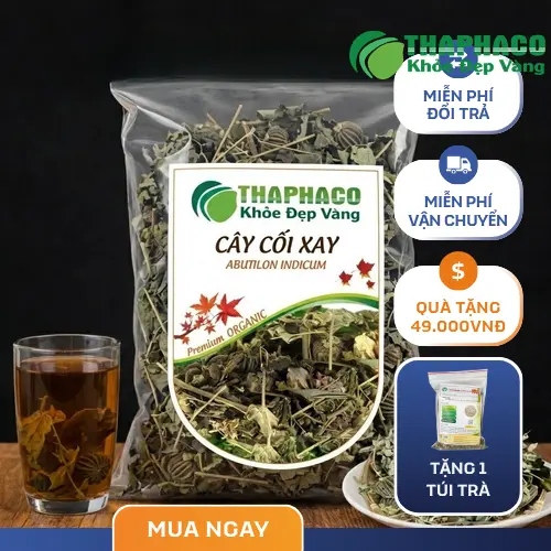Cây cối xay toàn thân tại môi trường tự nhiên
