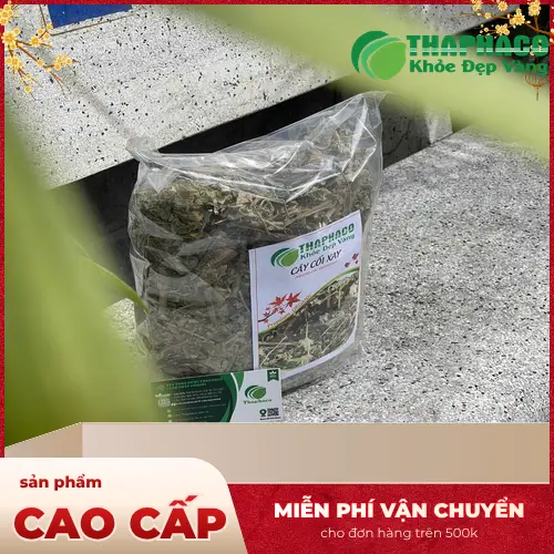 THAPHACO - Cung cấp cây cối xay khô chất lượng tại TP.HCM
