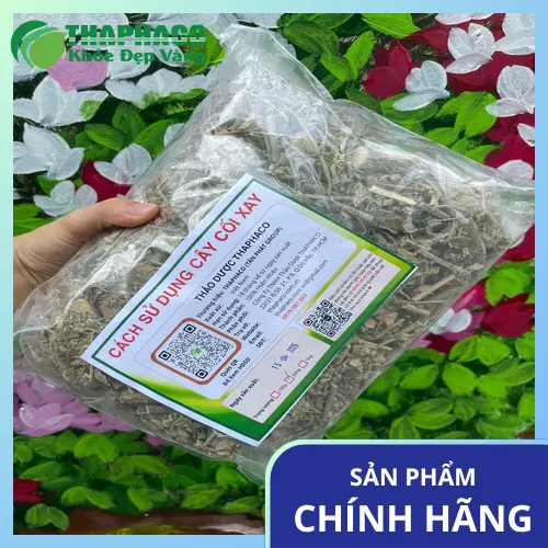 Địa chỉ bán cây cối xay chất lượng uy tín THAPHACO
