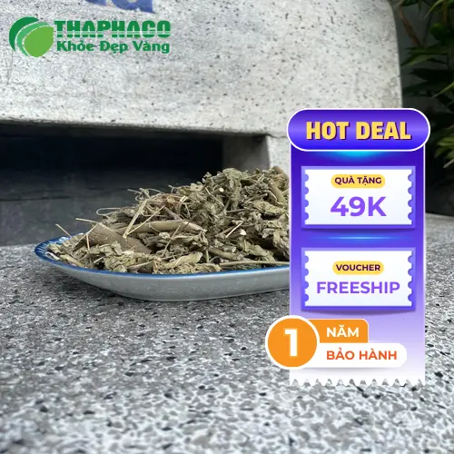 Cây cối xay khô được sơ chế tại THAPHACO