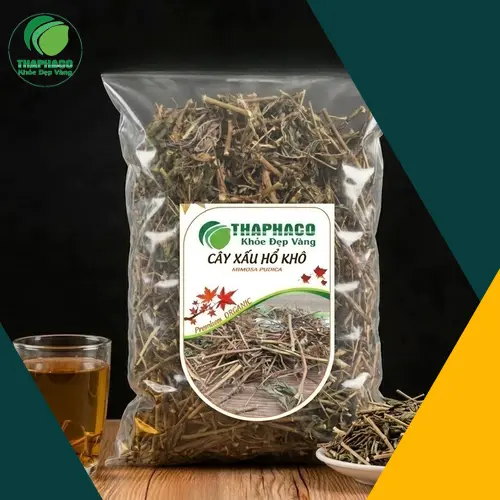 Hình ảnh cây xấu hổ (Mimosa pudica) với đặc điểm lá khép lại khi chạm vào