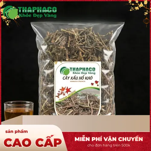 Hình ảnh cây xấu hổ mọc tự nhiên