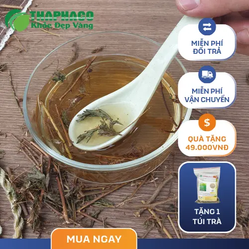 Lá cây xấu hổ khép lại khi chạm vào