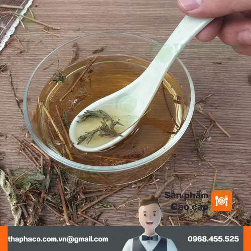 Hình ảnh các bộ phận của cây xấu hổ
