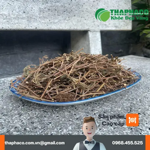 Người đang lái xe cần thận trọng với hoạt tính an thần của cây xấu hổ