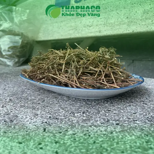 Cây xấu hổ khô chất lượng cao từ THAPHACO