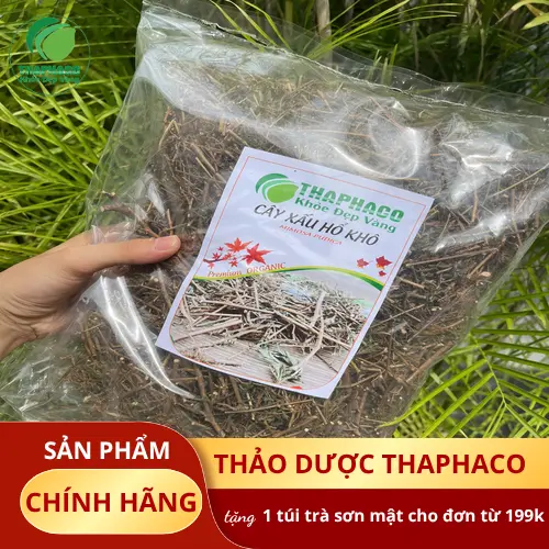 Rễ cây xấu hổ được sử dụng trong y học cổ truyền