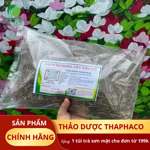 Lưu ý khi sử dụng cây xấu hổ