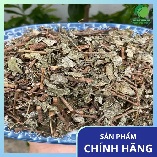 Chè dây bị mốc có đốm đen, xanh xám bất thường