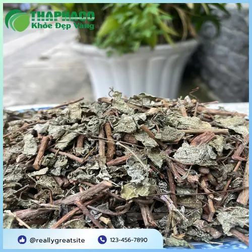 Quy trình phơi sấy chè dây tại nhà máy hoặc cơ sở sản xuất uy tín