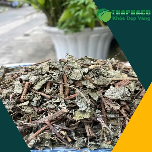Cách bảo quản chè dây khô đúng cách tại nhà