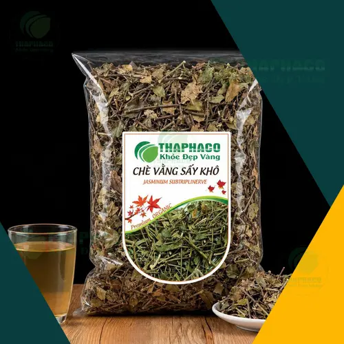 Hình ảnh cây chè vằng tươi và lá chè vằng khô