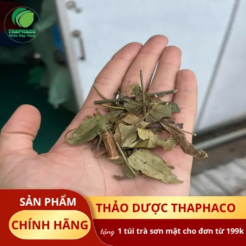 Hình ảnh phụ nữ sau sinh uống chè vằng khô hỗ trợ lợi sữa