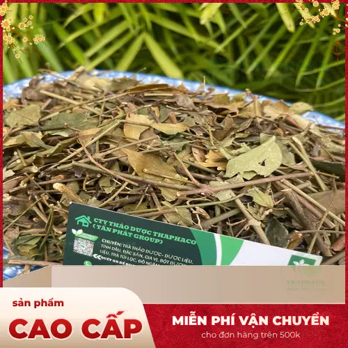Hình ảnh chè vằng khô loại 1 với màu sắc và mùi hương tự nhiên