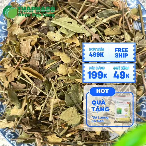 Hình ảnh cốc nước chè vằng khô đã pha