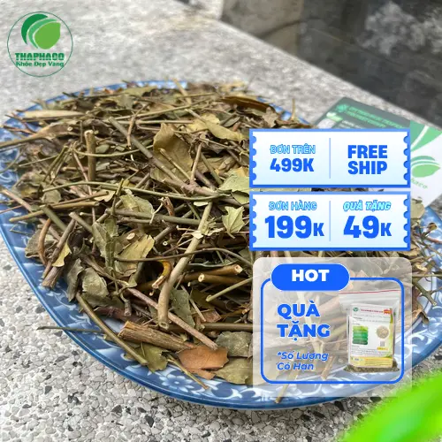 Chè vằng khô được đóng gói cẩn thận tại THAPHACO