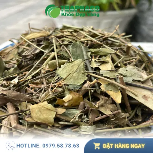 Hình ảnh người phụ nữ đang pha trà vằng khô