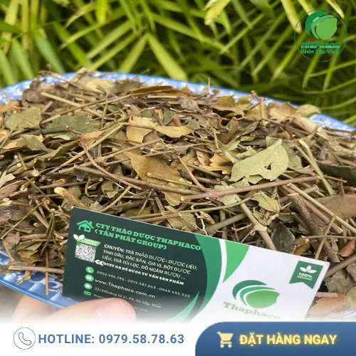 Chè vằng khô THAPHACO - Chăm sóc sức khỏe tự nhiên