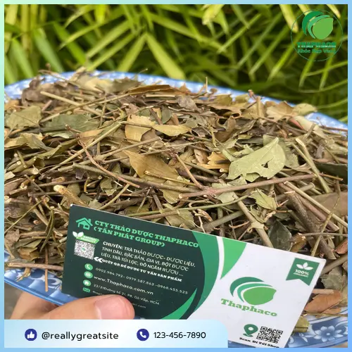 Chè vằng khô chất lượng tại THAPHACO