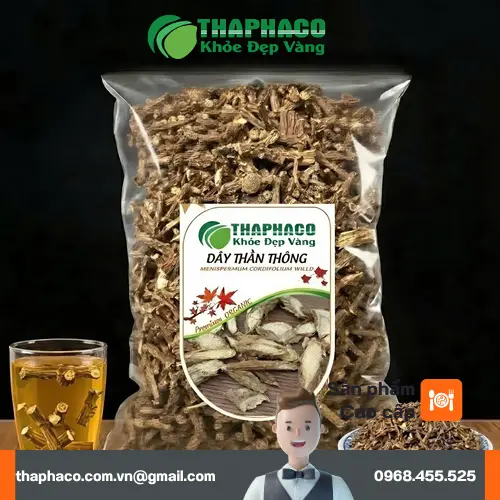 Dây Thần Thông tự nhiên tại THAPHACO