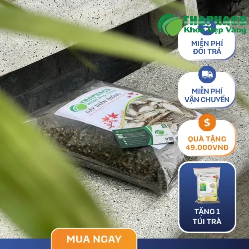 Lợi ích và ngộ nhận về Dây Thần Thông