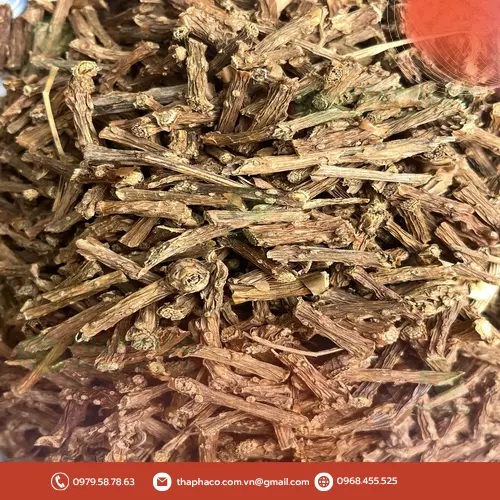 Quy trình sản xuất Dây Thần Thông sấy khô tại THAPHACO