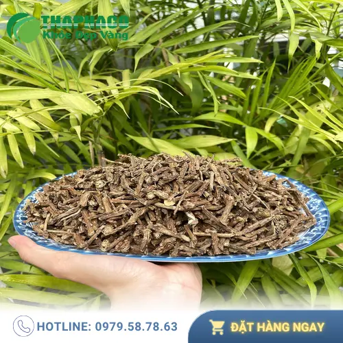 Địa chỉ bán Dây Thần Thông sấy khô uy tín tại TP.HCM