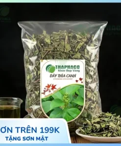 1kg Dây Thìa Canh Giá Rẻ Tại TP.HCM